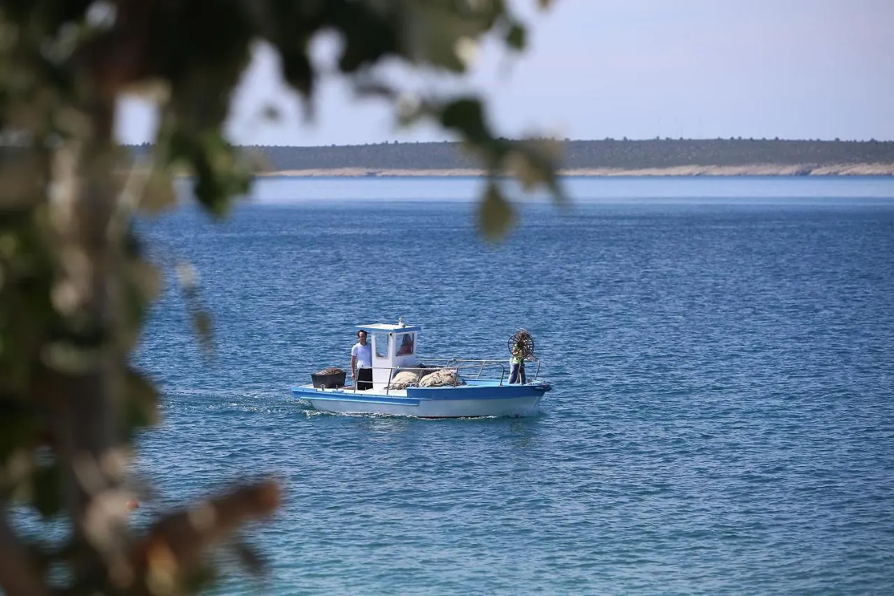 Pension Augustino Miletici 3*,  Kroatien